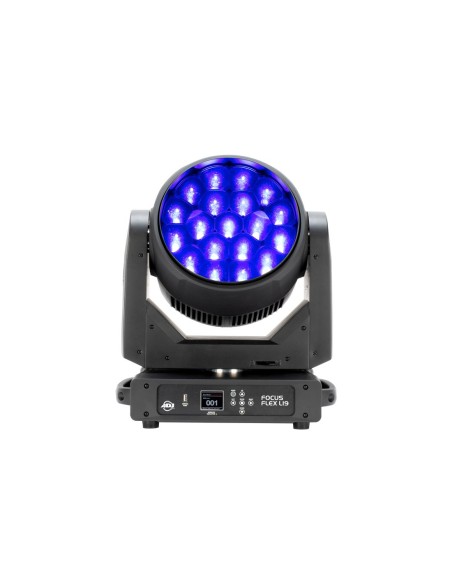 Focus Flex L19 