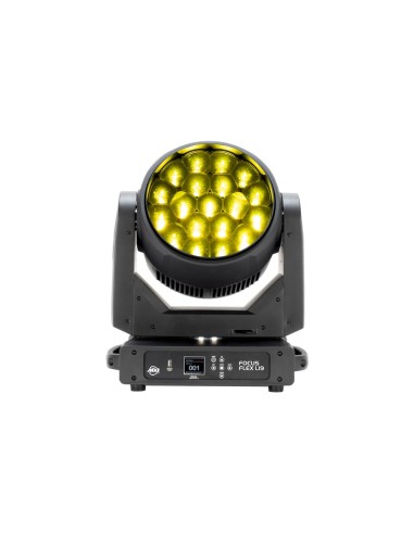 Focus Flex L19 