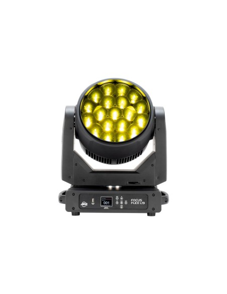 Focus Flex L19  2