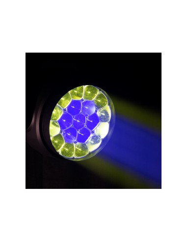 Focus Flex L19 