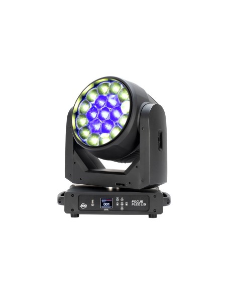 Focus Flex L19 