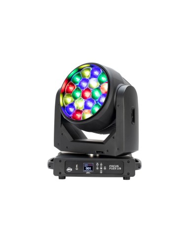 Focus Flex L19 
