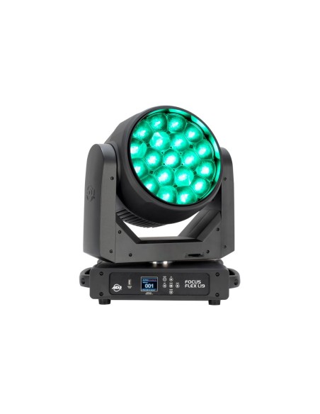 Focus Flex L19 