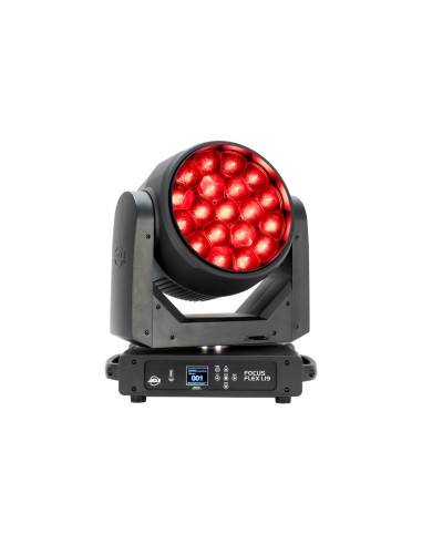 Focus Flex L19 