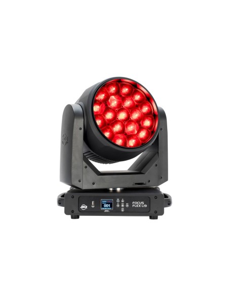 Focus Flex L19 