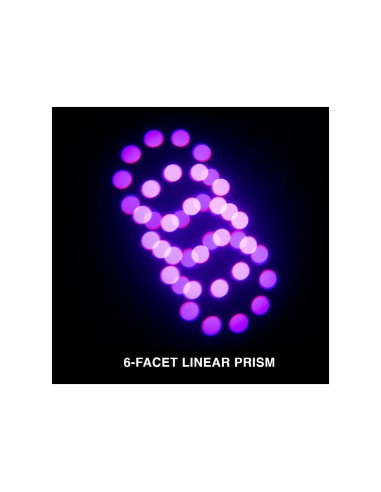 Focus Profile 