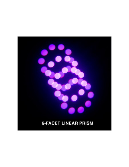 Focus Profile 