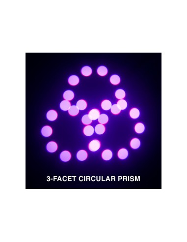 Focus Profile 