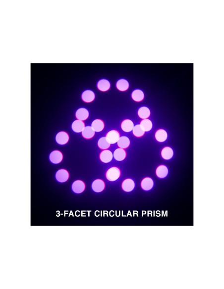 Focus Profile 