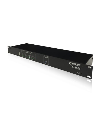 2 input 4 output Digital Processor