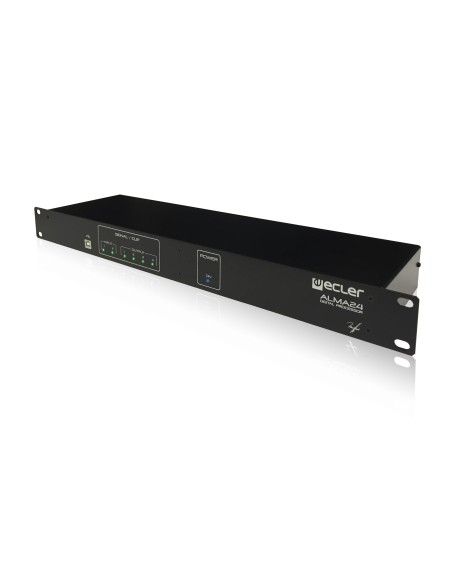 2 input 4 output Digital Processor 2