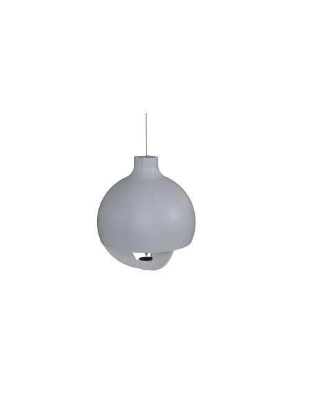 GLOBE5PD BK