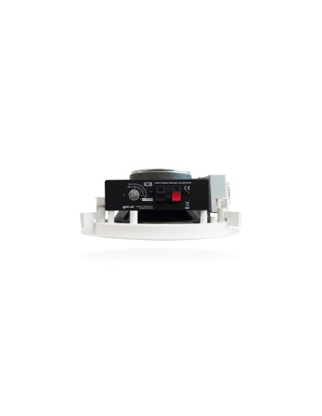 IC8 