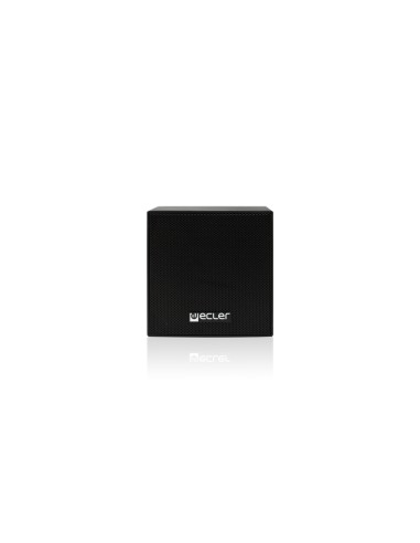 Black 25W 8oh 15W 100V Louds. cabinet