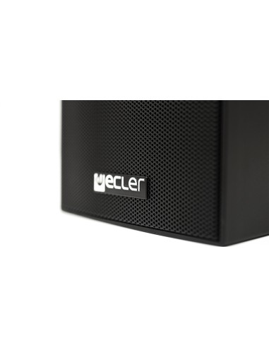 Black 25W 8oh 15W 100V Louds. cabinet