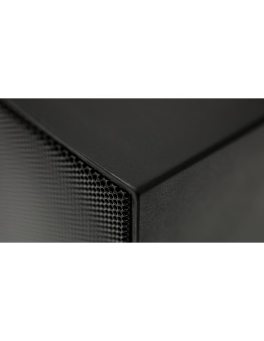 Black 25W 8oh 15W 100V Louds. cabinet