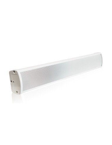 eCS803 