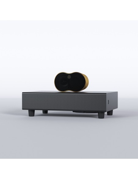 EDGE-SB110P GD 2