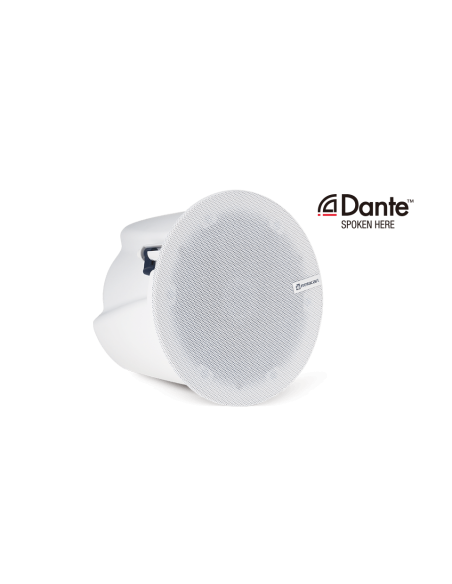 RDA10  2