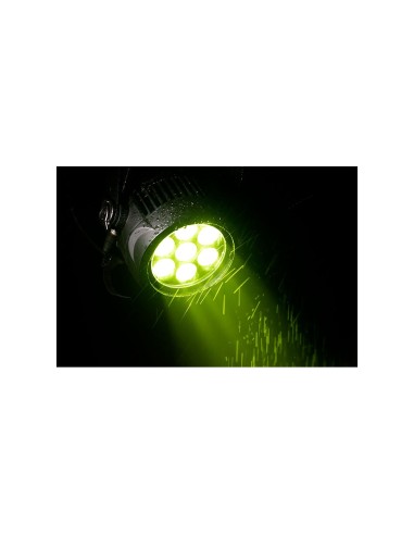 Encore LP7 IP 