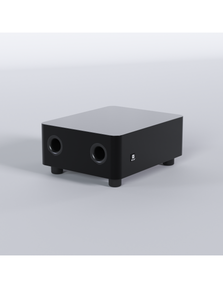 WiLD Series RX 8" SubWoofer 2