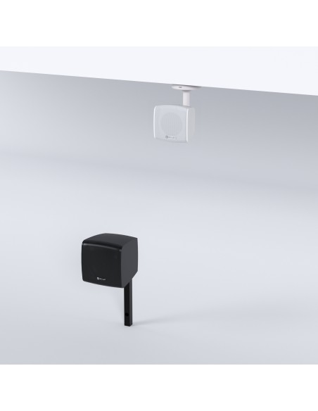 eMOTUS5O16 