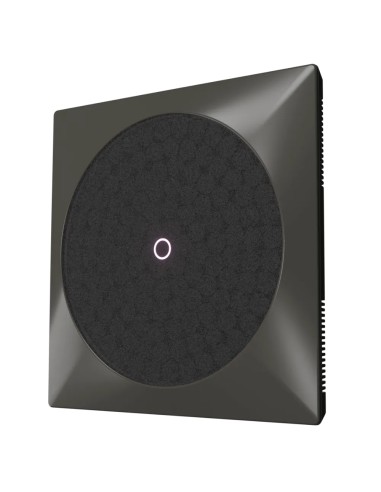 Speaker B1 Gris 