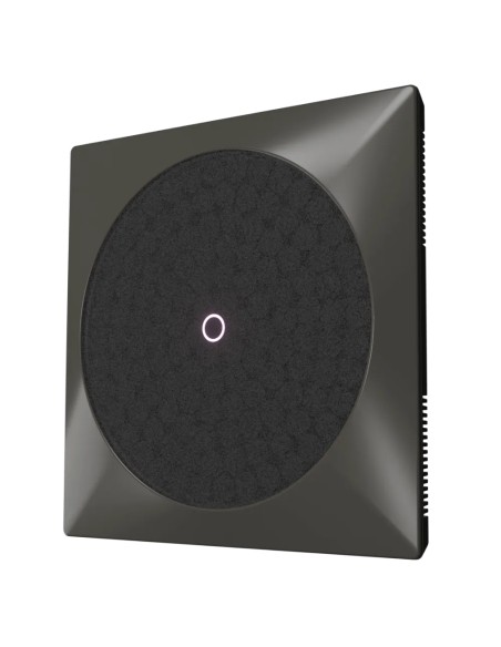 Speaker B1 Gris 