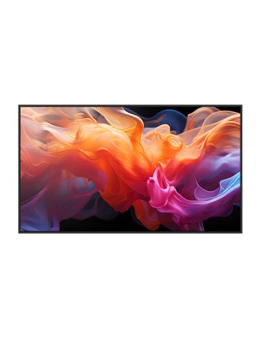 MultiSync E869 