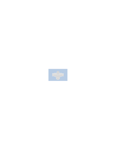 T-CS-W  2